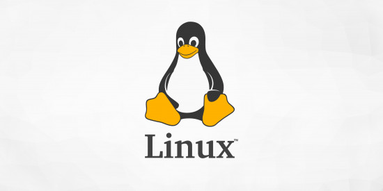 Mengenal Linux, Operasi Sistem Open Source yang Paling Populer